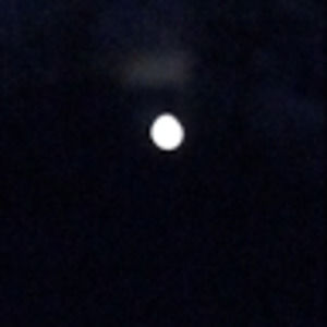 Meet your Posher, Ellen